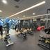 Palestra