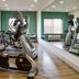 Palestra
