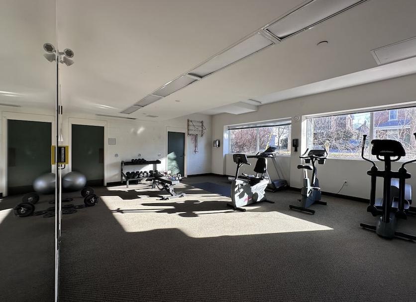 Palestra Foto