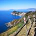 Vista esterna