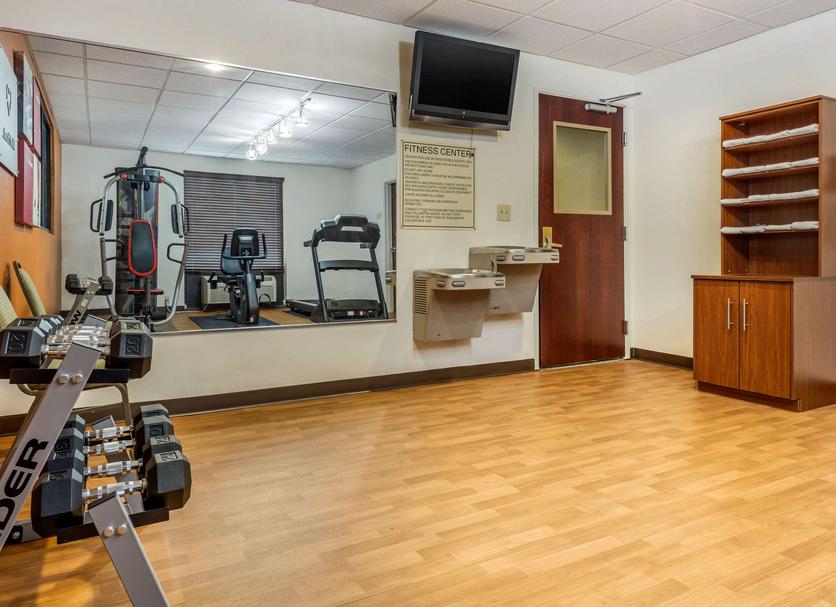 Palestra Foto