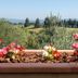 Vista esterna