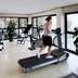 Palestra