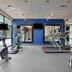 Palestra
