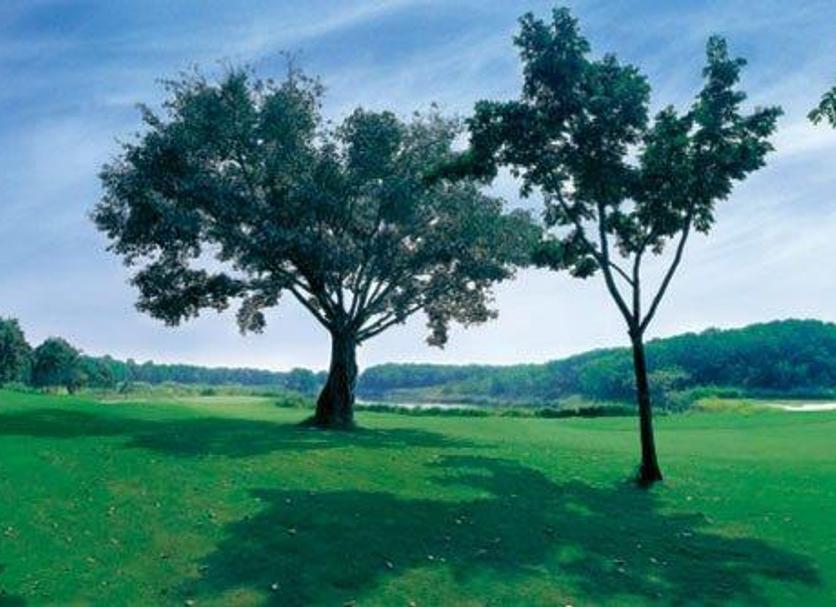 Vista esterna Foto