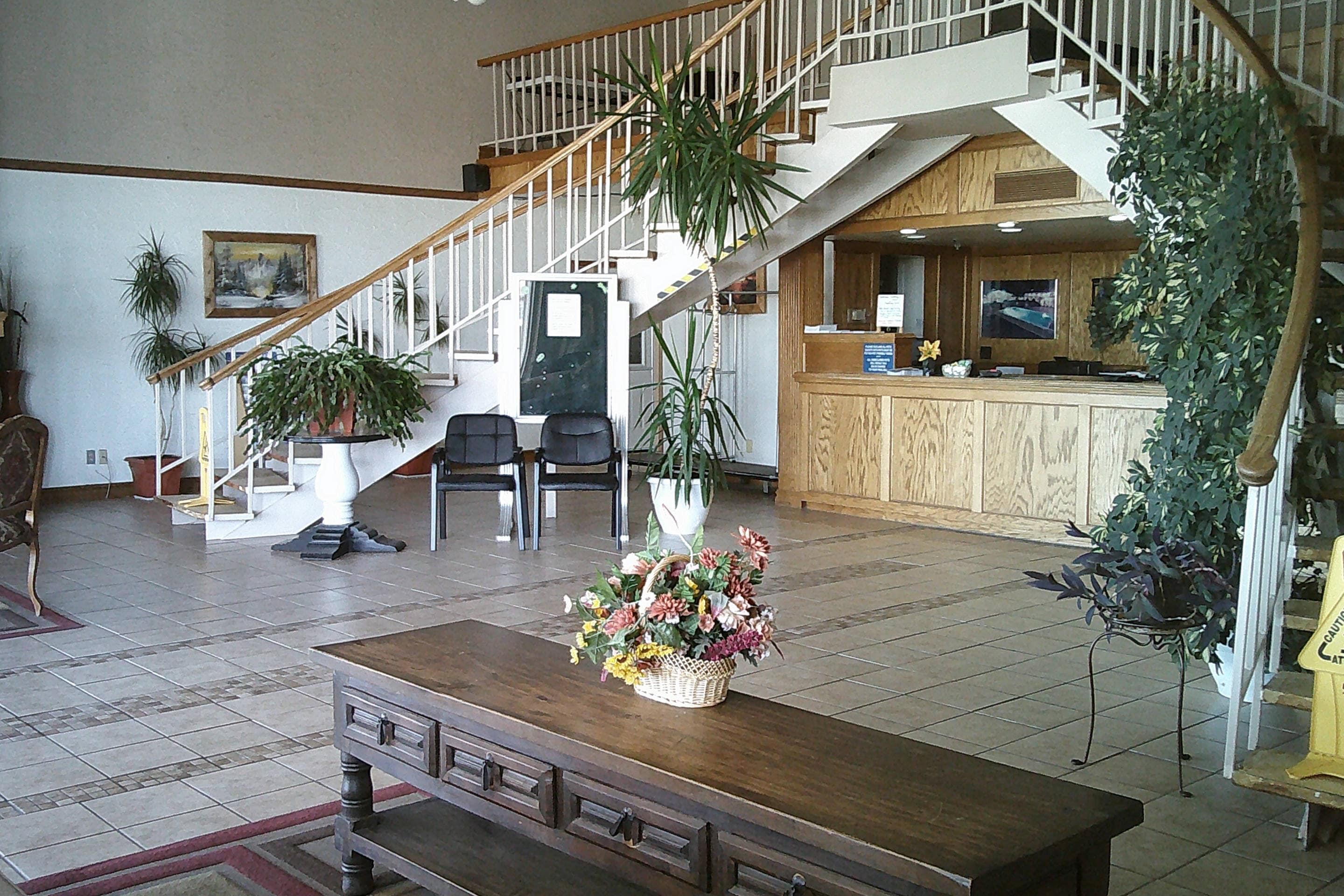 Ingresso
