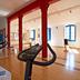 Palestra