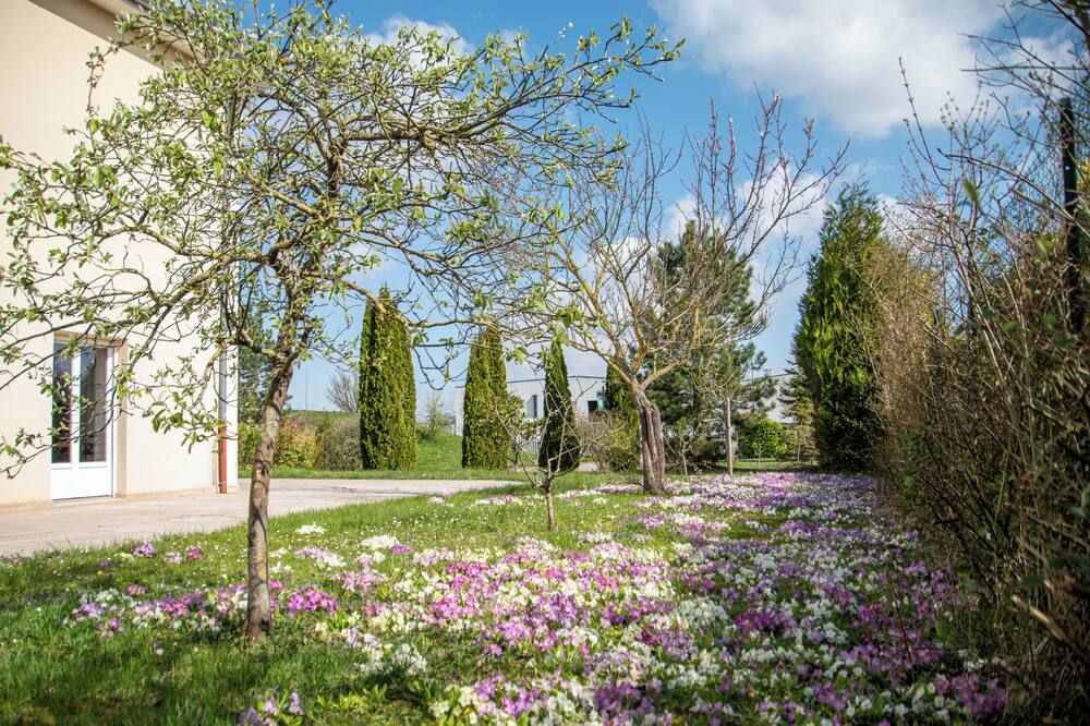 Vista esterna