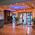 Ingresso