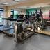 Palestra
