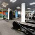 Palestra
