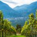 Vista esterna