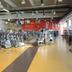 Palestra