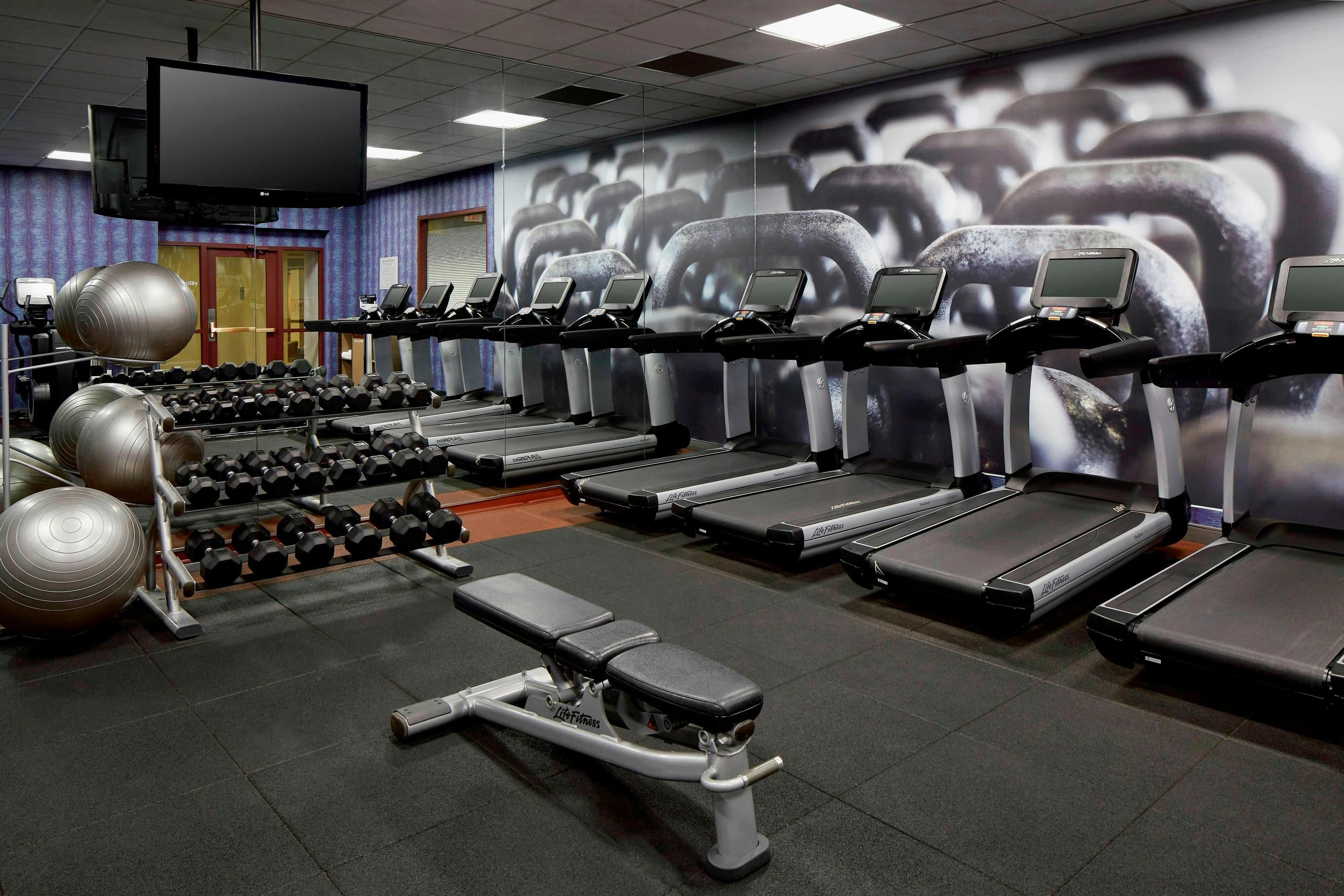 Palestra