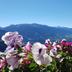 Vista esterna