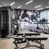 Palestra