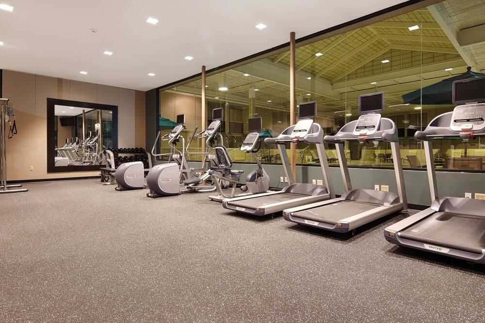 Palestra