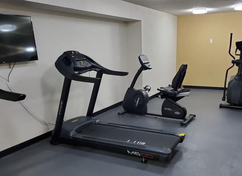 Palestra Foto