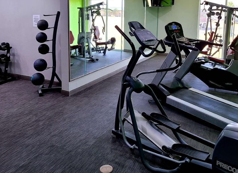 Palestra Foto