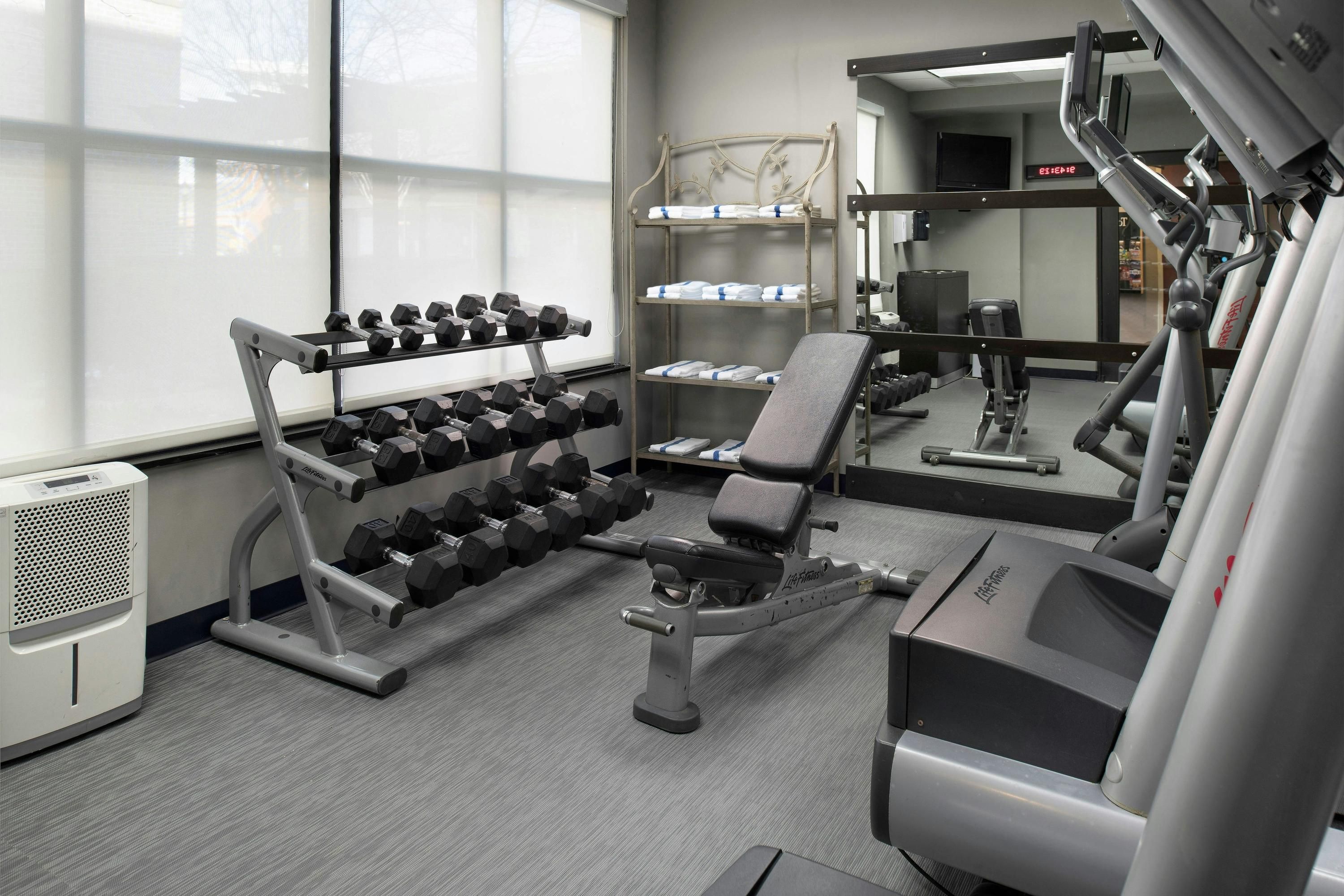 Palestra
