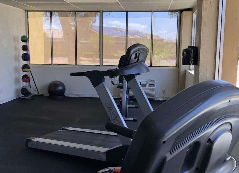 Palestra Foto