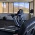Palestra