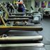 Palestra