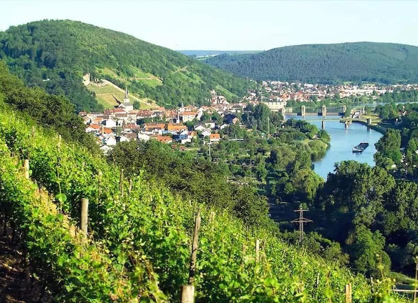 Vista esterna Foto