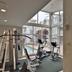 Palestra