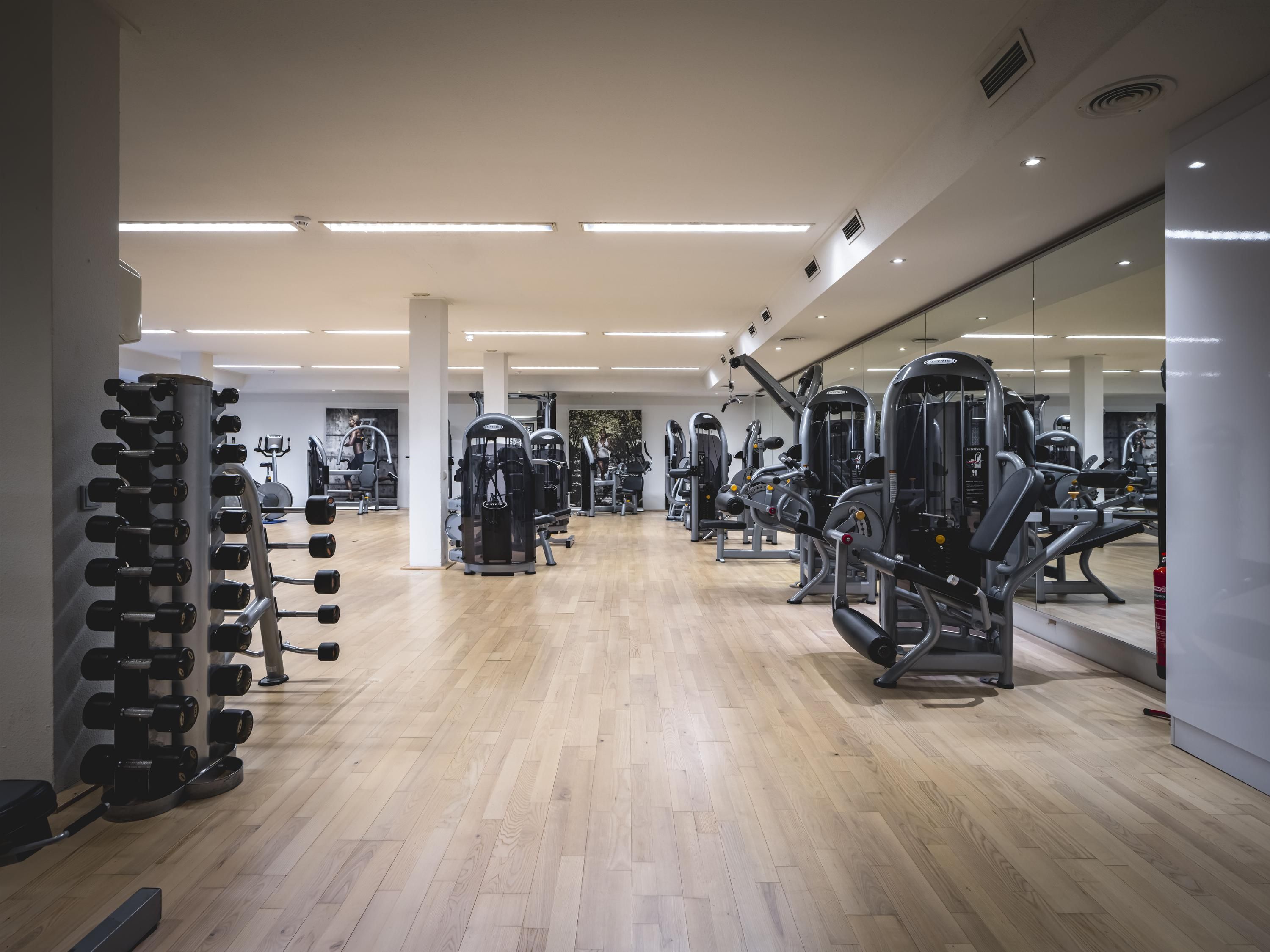 Palestra