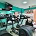 Palestra