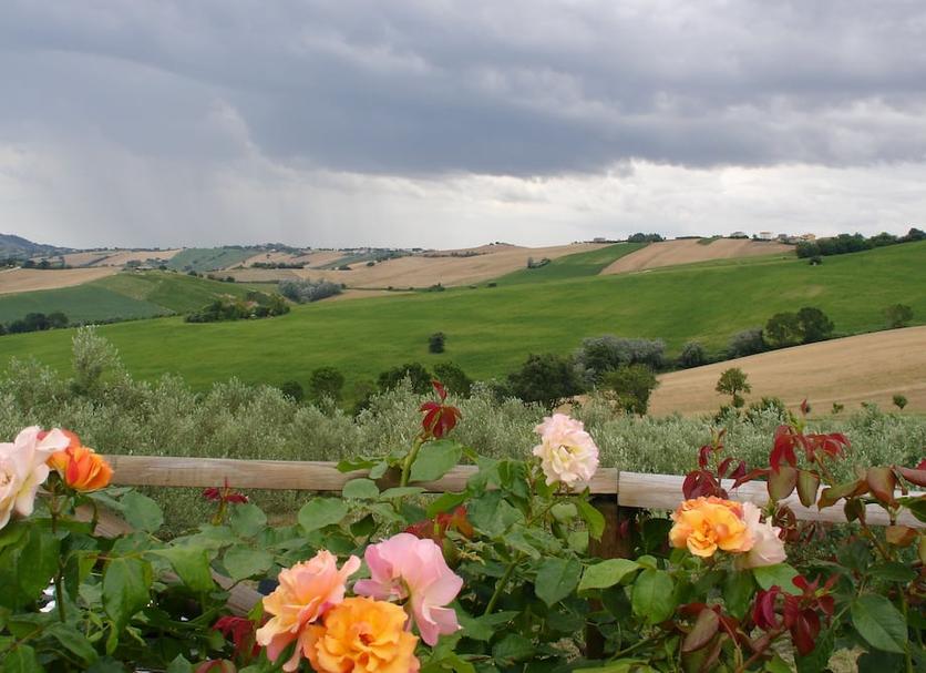 Vista esterna Foto