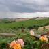 Vista esterna