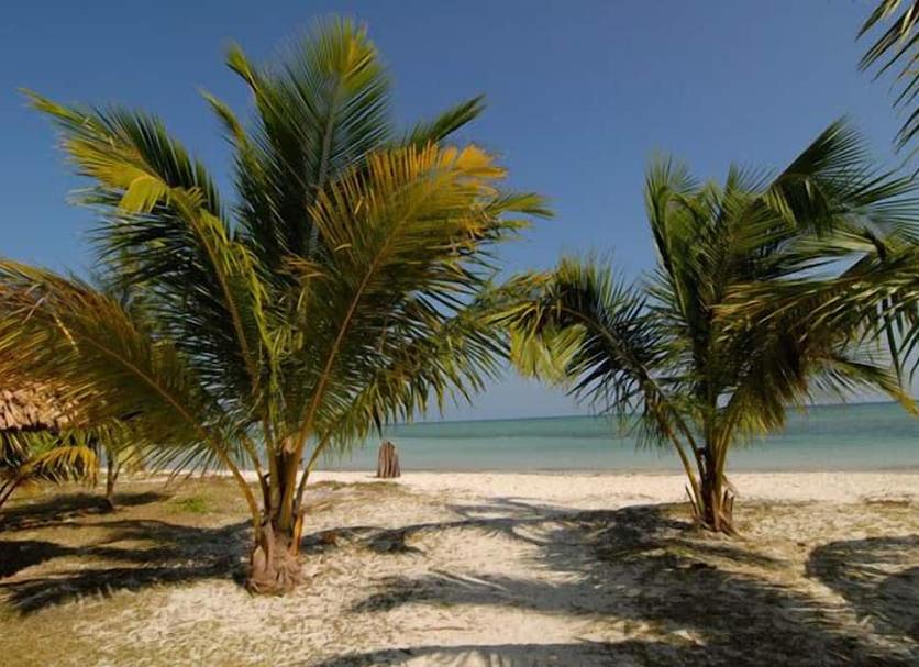 Spiaggia Foto