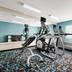 Palestra