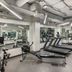 Palestra