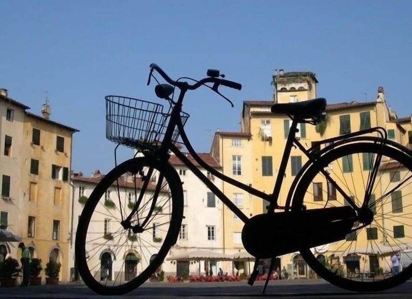 Altro Foto