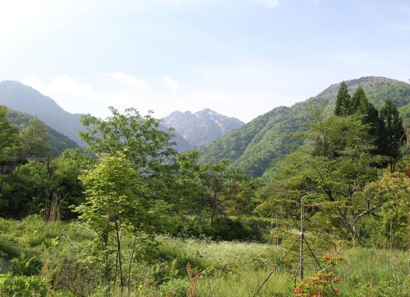 Vista esterna Foto