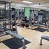 Palestra