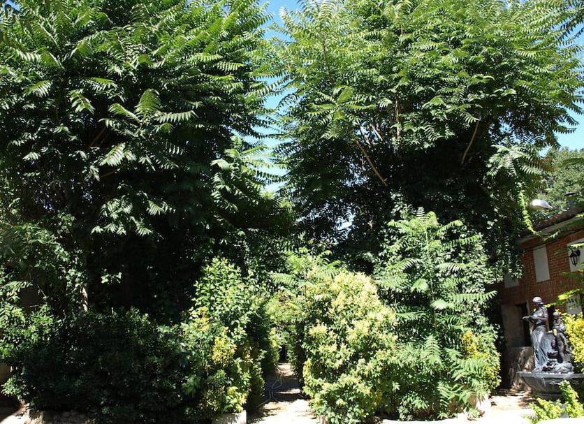 Vista esterna Foto