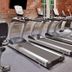 Palestra