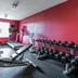 Palestra