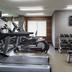Palestra
