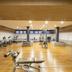 Palestra