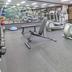 Palestra
