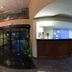 Ingresso