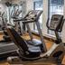 Palestra