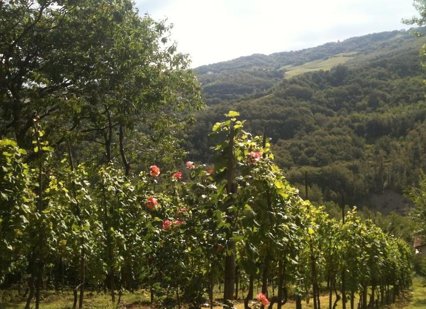 Vista esterna Foto