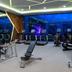 Palestra
