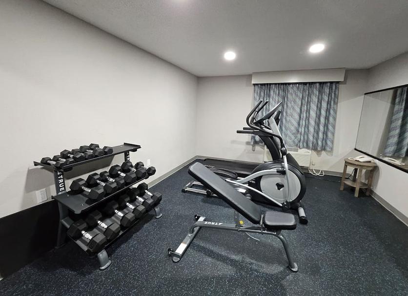 Palestra Foto
